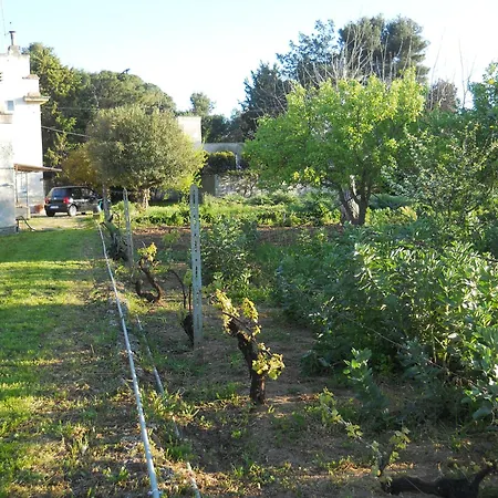 Il Giardino Casa Vacanze Galatone Exterior foto